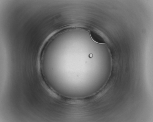 X0000113981076200910091313