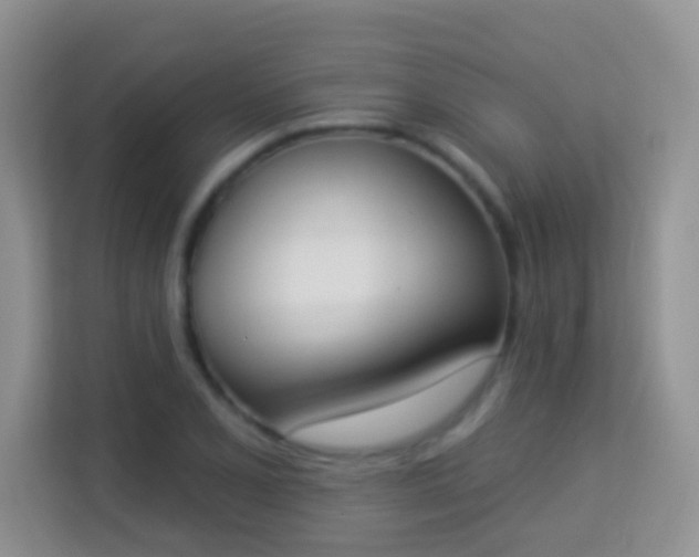 X0000113981077200910091313