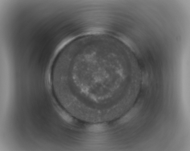 X0000113981078200910091313