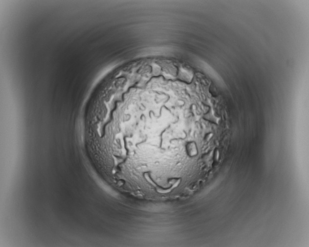 X0000113981079200910091313