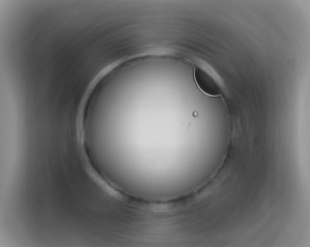 X0000113981080200910091313