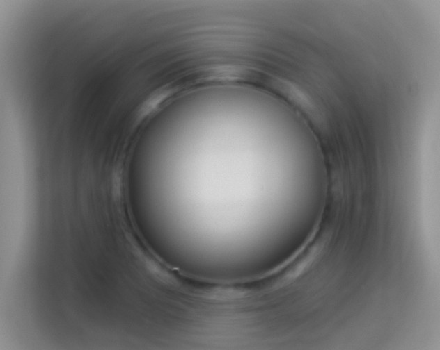 X0000113981081200910091313