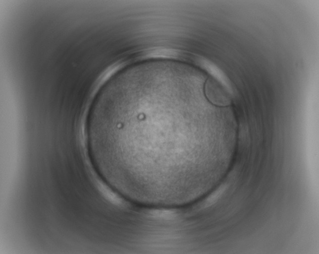 X0000113981082200910091313