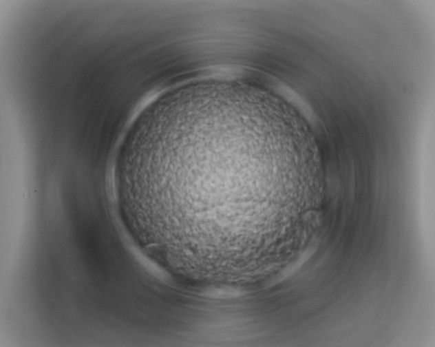 X0000113981083200910091313