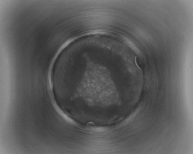 X0000113981084200910091313