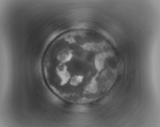 X0000113981086200910091313