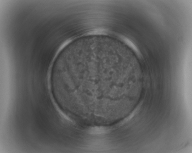 X0000113981087200910091313