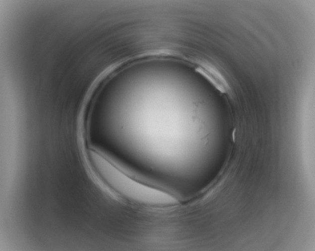 X0000113981088200910091313