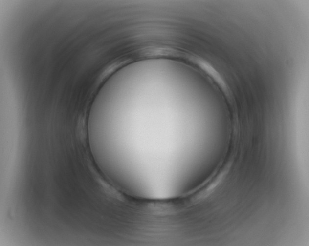 X0000113981089200910091313