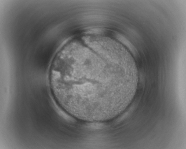 X0000113981090200910091313