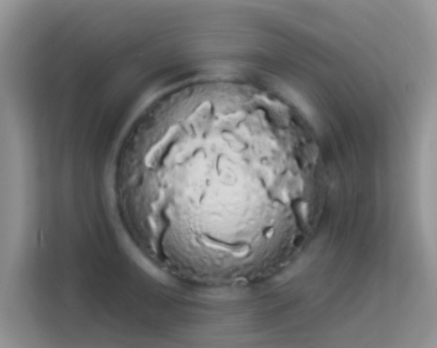 X0000113981091200910091313