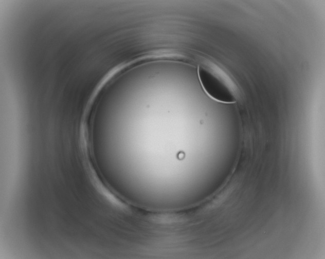 X0000113981092200910091313