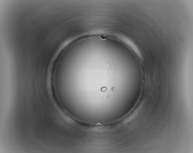 X0000113981093200910091313