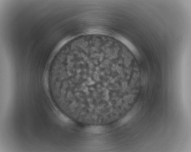 X0000113981094200910091313