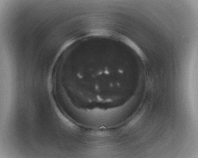 X0000113981095200910091313