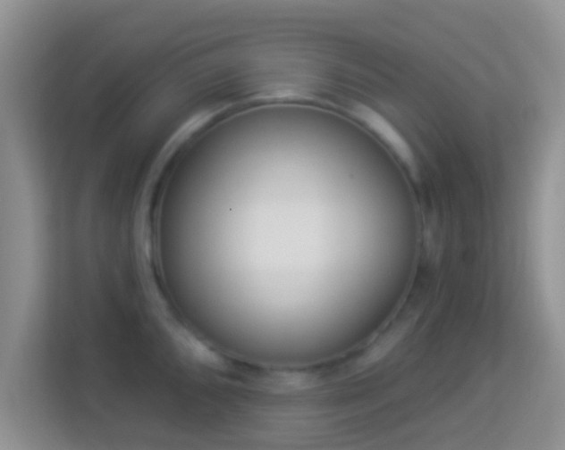 X0000113981096200910091313