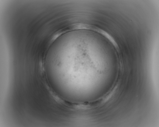 X0000113981097200910091313