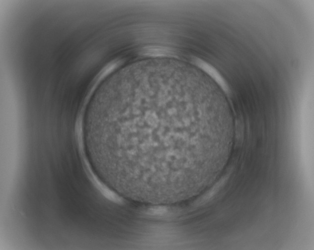 X0000113981098200910091313