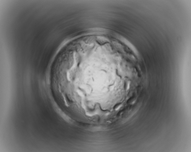 X0000113981099200910091313