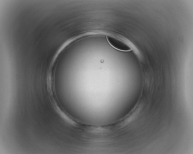 X0000113981100200910091313