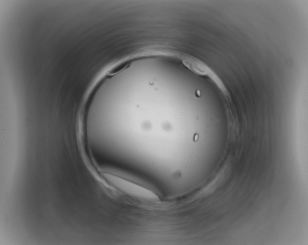 X0000113981101200910091313