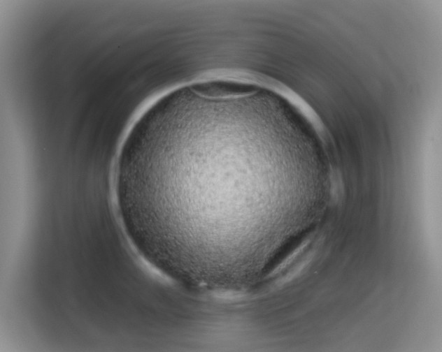 X0000113981102200910091313