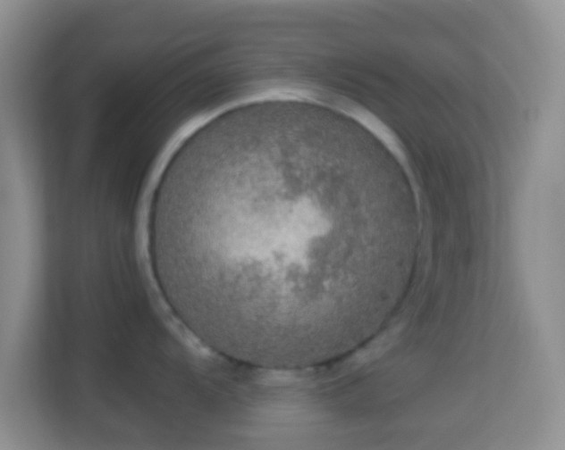 X0000113981104200910091313