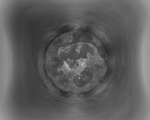 X0000113981105200910091312