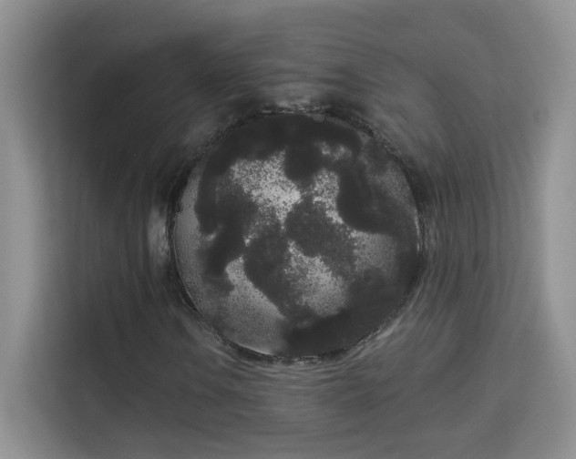 X0000113981106200910091312