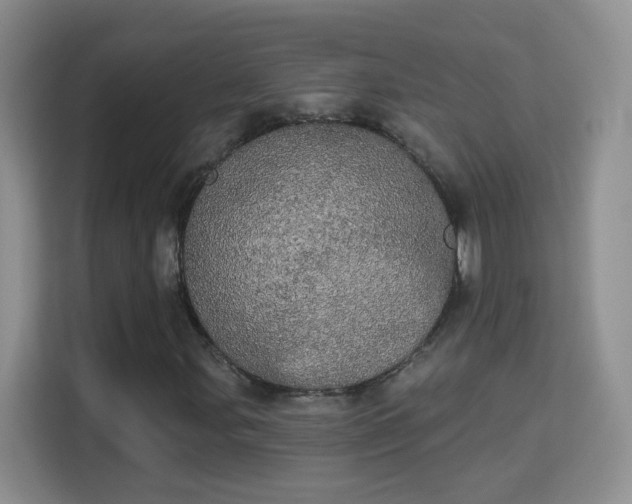 X0000113981107200910091312