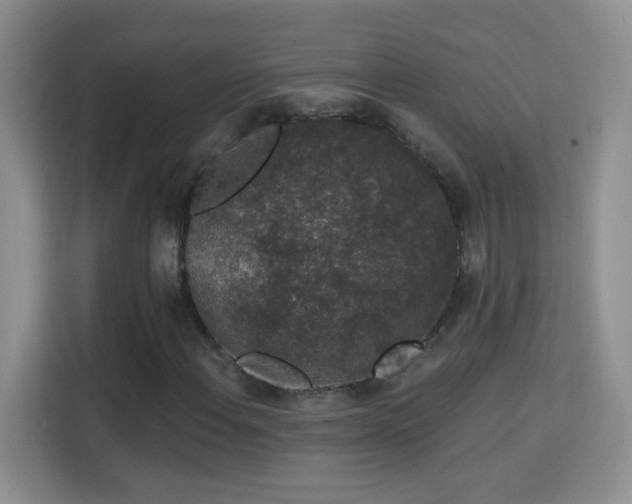 X0000113981108200910091312