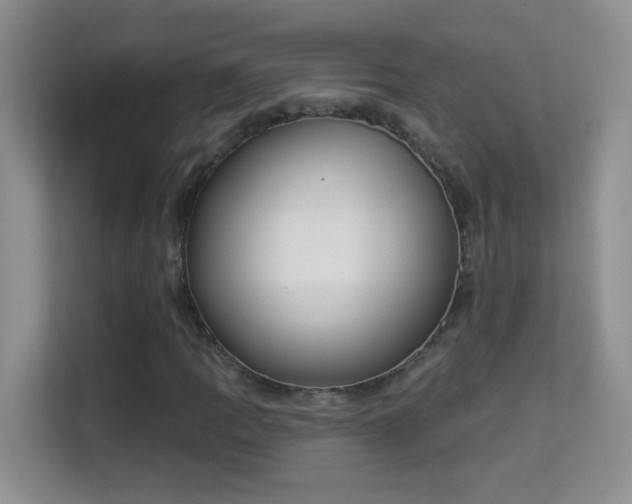 X0000113981109200910091312