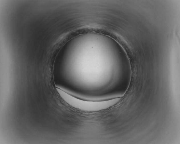 X0000113981110200910091312