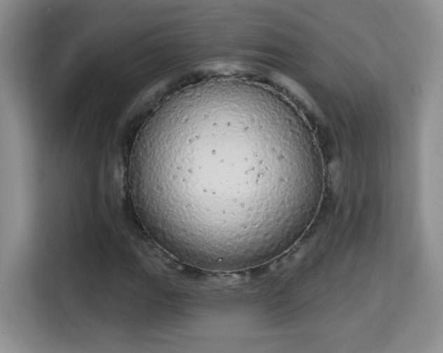 X0000113981111200910091312