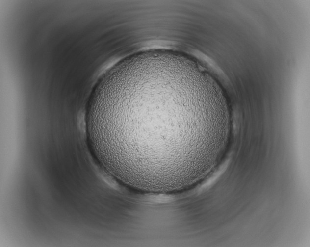 X0000113981113200910091312