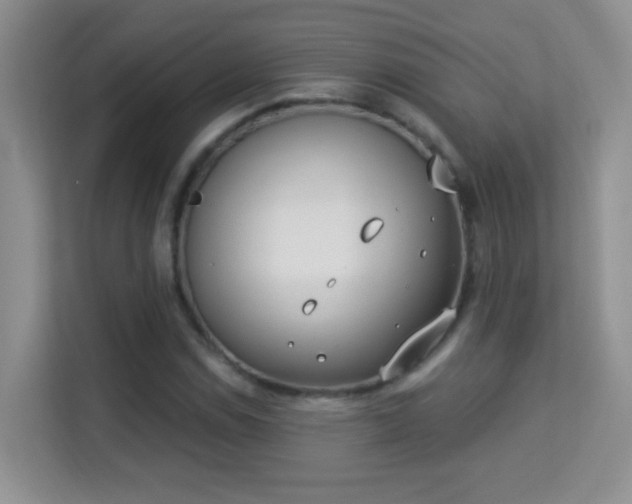 X0000113981114200910091312