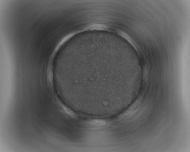 X0000113981115200910091312