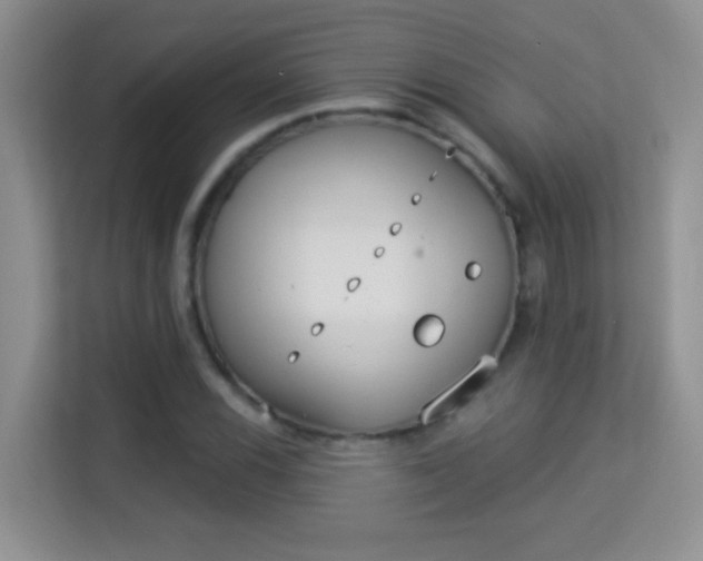 X0000113981116200910091312