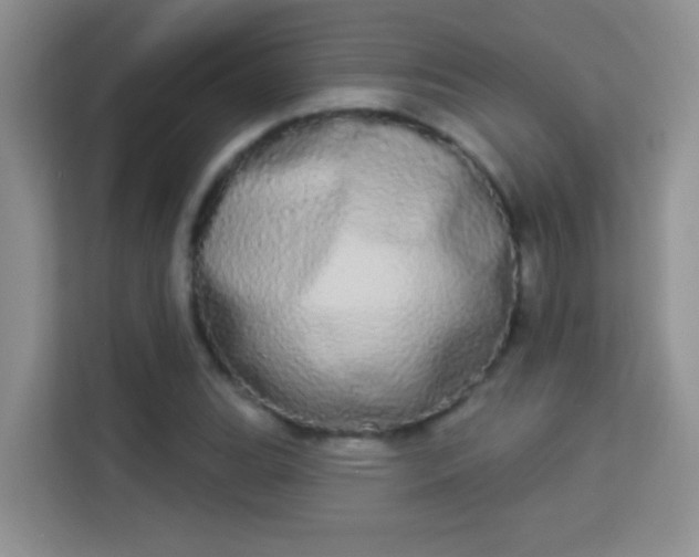 X0000113981119200910091312