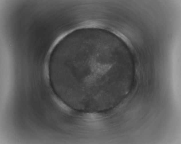 X0000113981120200910091312