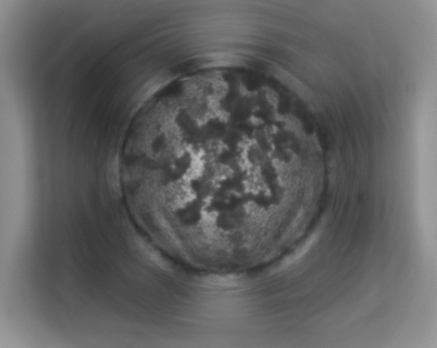 X0000113981121200910091312