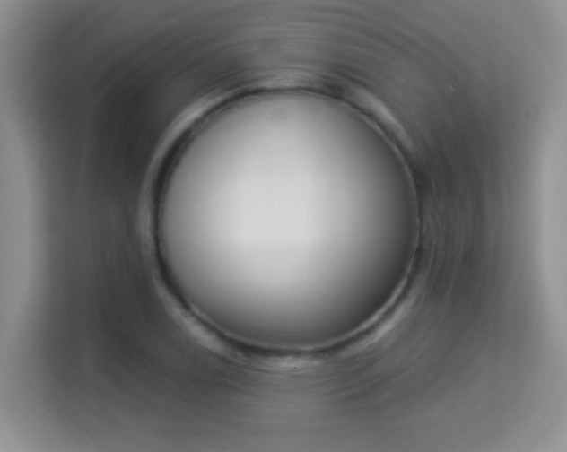 X0000113981122200910091312