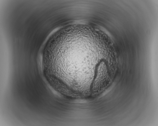 X0000113981123200910091312