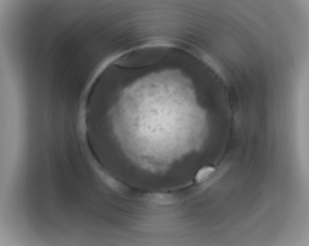 X0000113981124200910091312