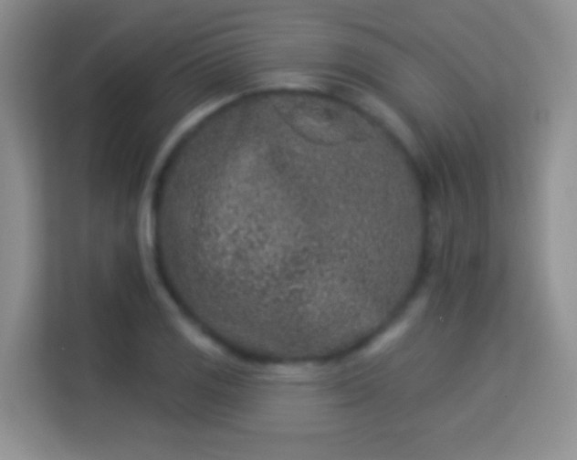 X0000113981125200910091312