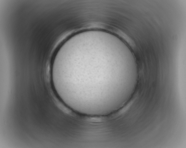 X0000113981126200910091312