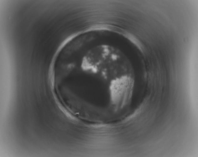 X0000113981127200910091312