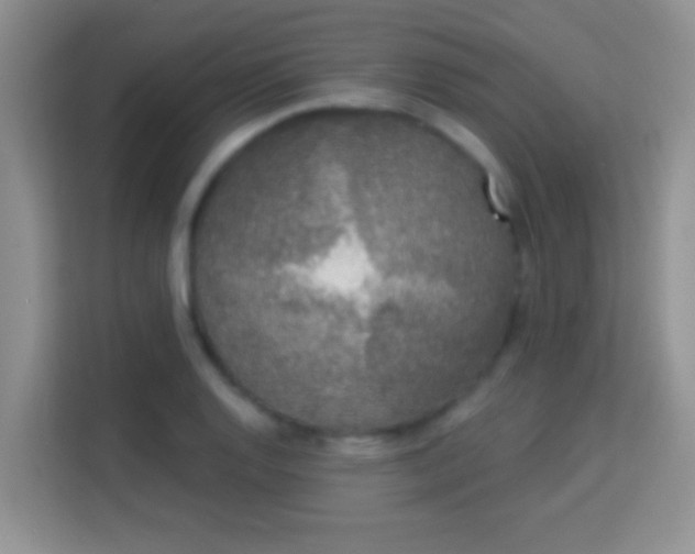 X0000113981128200910091312