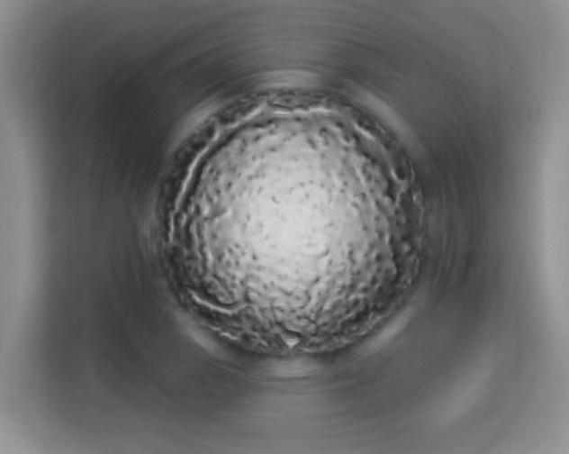 X0000113981129200910091312