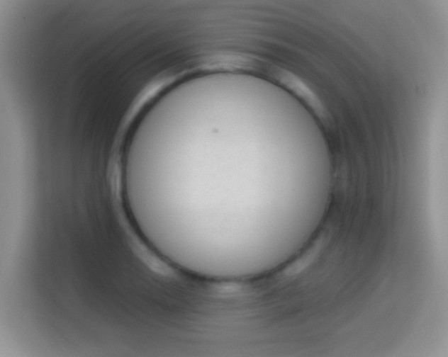 X0000113981130200910091312